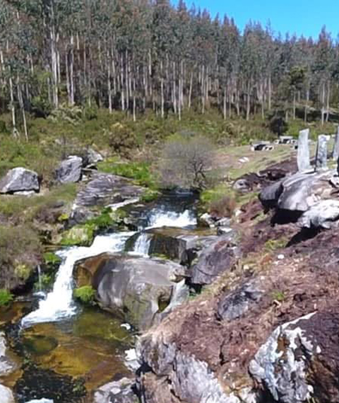 natureza-castromaior-galicia